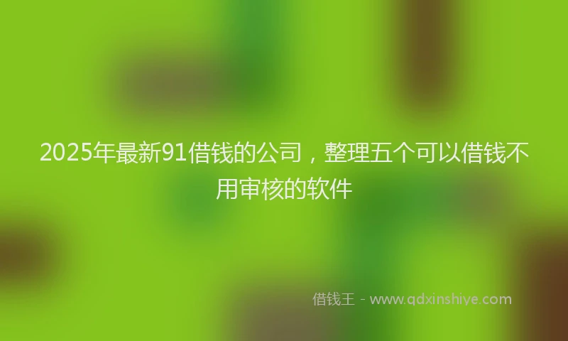 2025年最新91借钱的公司，整理五个可以借钱不用审核的软件