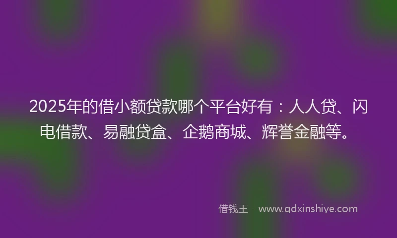 2025年的借小额贷款哪个平台好有：人人贷、闪电借款、易融贷盒、企鹅商城、辉誉金融等。