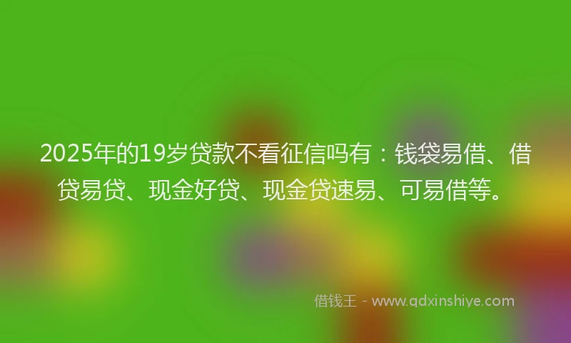 2025年的19岁贷款不看征信吗有：钱袋易借、借贷易贷、现金好贷、现金贷速易、可易借等。