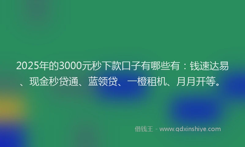2025年的3000元秒下款口子有哪些有：钱速达易、现金秒贷通、蓝领贷、一橙租机、月月开等。