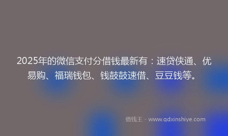 2025年的微信支付分借钱最新有：速贷侠通、优易购、福瑞钱包、钱鼓鼓速借、豆豆钱等。