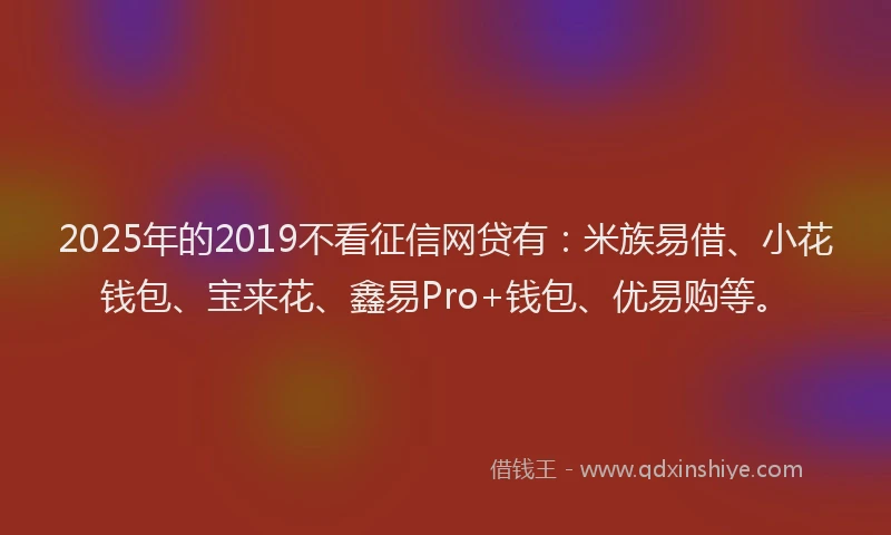 2025年的2019不看征信网贷有：米族易借、小花钱包、宝来花、鑫易Pro+钱包、优易购等。