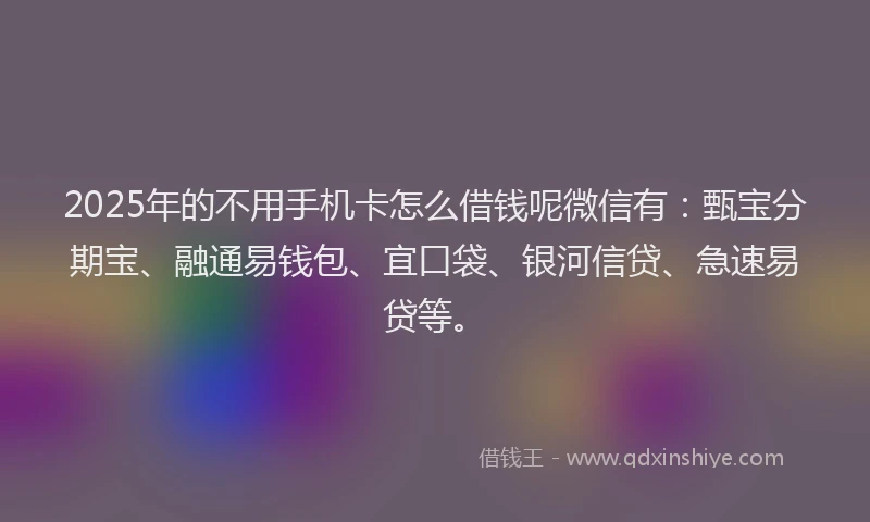 2025年的不用手机卡怎么借钱呢微信有：甄宝分期宝、融通易钱包、宜口袋、银河信贷、急速易贷等。