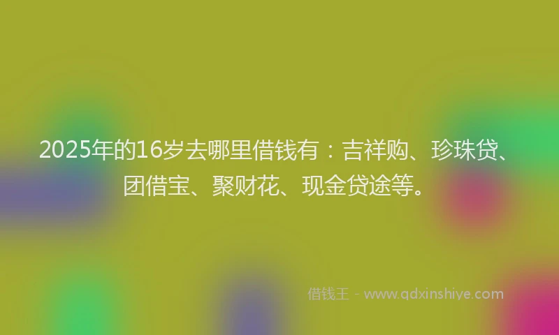 2025年的16岁去哪里借钱有：吉祥购、珍珠贷、团借宝、聚财花、现金贷途等。