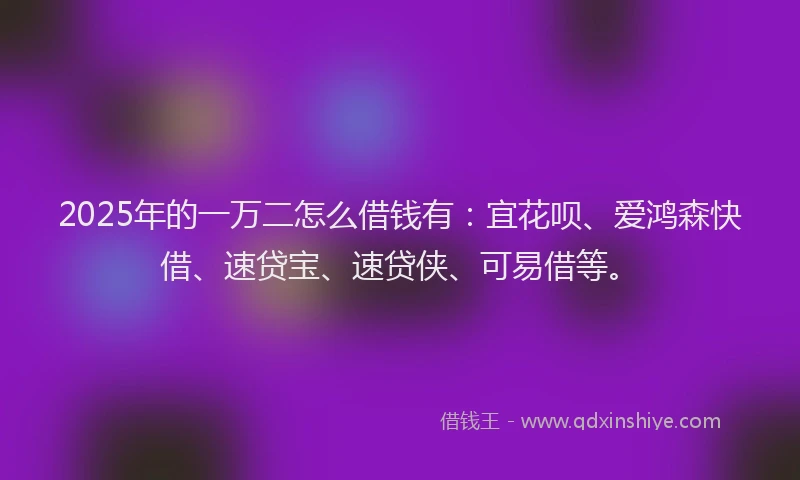 2025年的一万二怎么借钱有：宜花呗、爱鸿森快借、速贷宝、速贷侠、可易借等。