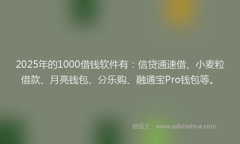 2025年的1000借钱软件有：信贷通速借、小麦粒借款、月亮钱包、分乐购、融通宝Pro钱包等。