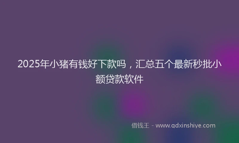 2025年小猪有钱好下款吗，汇总五个最新秒批小额贷款软件