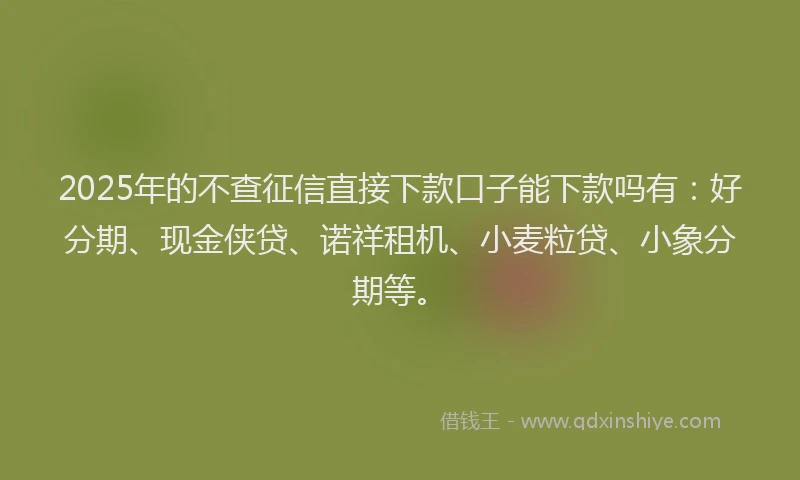 2025年的不查征信直接下款口子能下款吗有：好分期、现金侠贷、诺祥租机、小麦粒贷、小象分期等。