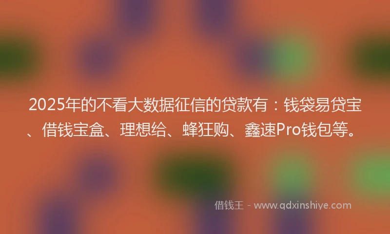2025年的不看大数据征信的贷款有：钱袋易贷宝、借钱宝盒、理想给、蜂狂购、鑫速Pro钱包等。