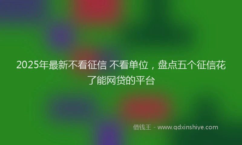 2025年最新不看征信 不看单位，盘点五个征信花了能网贷的平台
