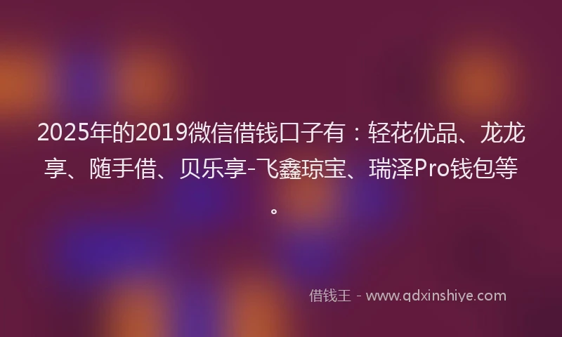 2025年的2019微信借钱口子有：轻花优品、龙龙享、随手借、贝乐享-飞鑫琼宝、瑞泽Pro钱包等。