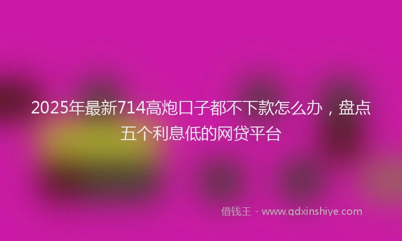 2025年最新714高炮口子都不下款怎么办，盘点五个利息低的网贷平台