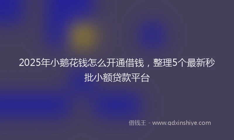 2025年小鹅花钱怎么开通借钱，整理5个最新秒批小额贷款平台