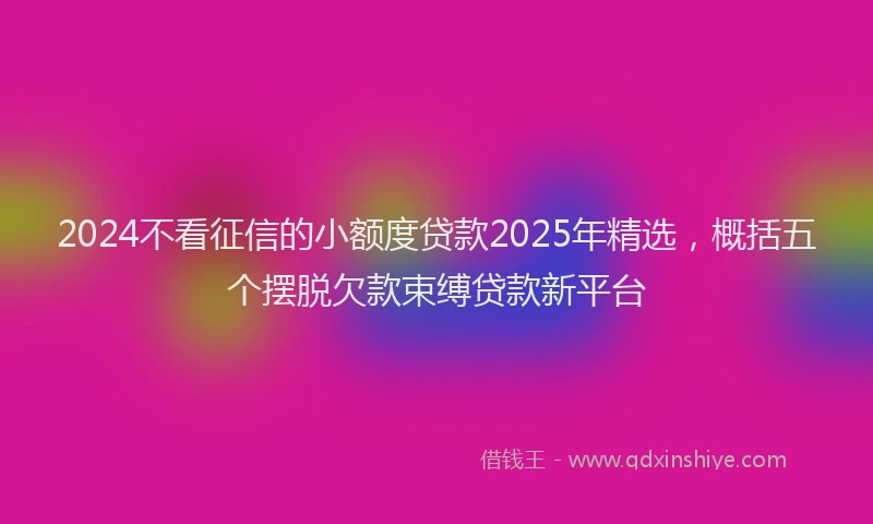 2024不看征信的小额度贷款2025年精选，概括五个摆脱欠款束缚贷款新平台