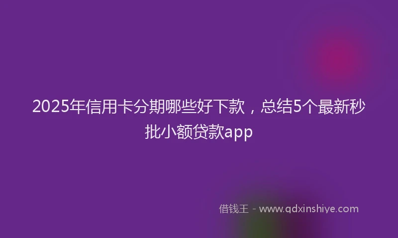 2025年信用卡分期哪些好下款，总结5个最新秒批小额贷款app