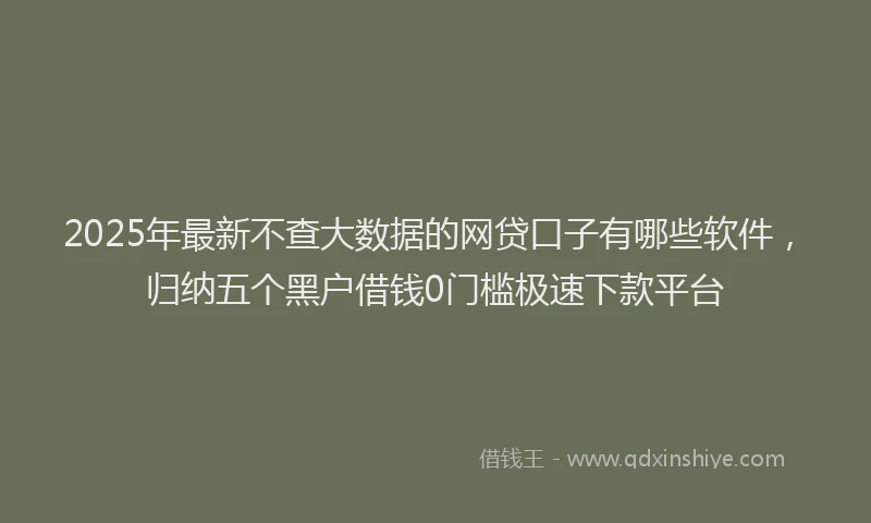2025年最新不查大数据的网贷口子有哪些软件，归纳五个黑户借钱0门槛极速下款平台