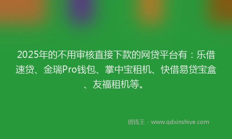 2025年的不用审核直接下款的网贷平台有：乐借速贷、金瑞Pro钱包、掌中宝租机、快借易贷宝盒、友福租机等。