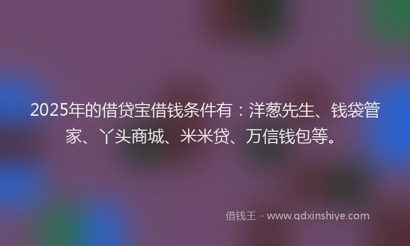 2025年的借贷宝借钱条件有：洋葱先生、钱袋管家、丫头商城、米米贷、万信钱包等。