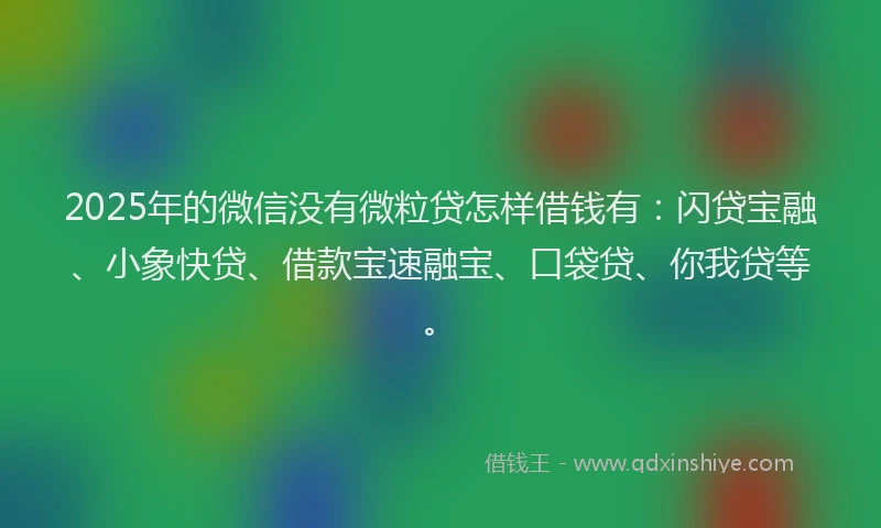2025年的微信没有微粒贷怎样借钱有：闪贷宝融、小象快贷、借款宝速融宝、口袋贷、你我贷等。