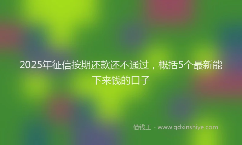 2025年征信按期还款还不通过，概括5个最新能下来钱的口子