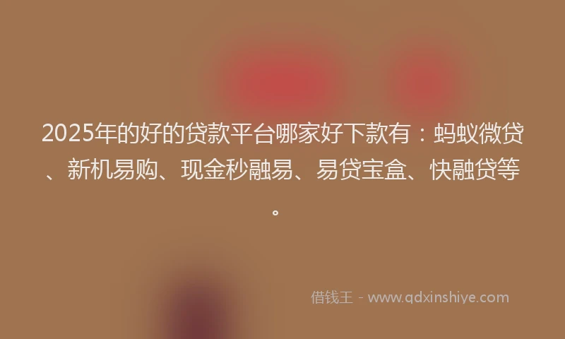 2025年的好的贷款平台哪家好下款有：蚂蚁微贷、新机易购、现金秒融易、易贷宝盒、快融贷等。