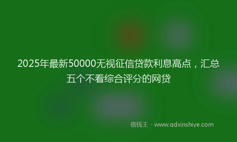 2025年最新50000无视征信贷款利息高点，汇总五个不看综合评分的网贷