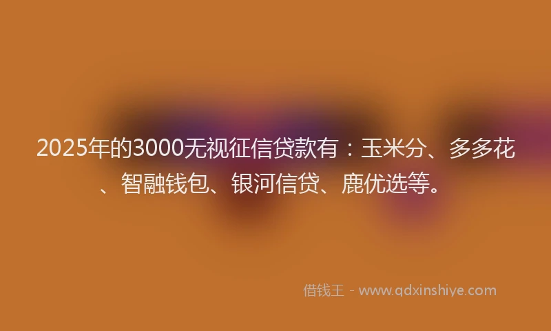 2025年的3000无视征信贷款有：玉米分、多多花、智融钱包、银河信贷、鹿优选等。