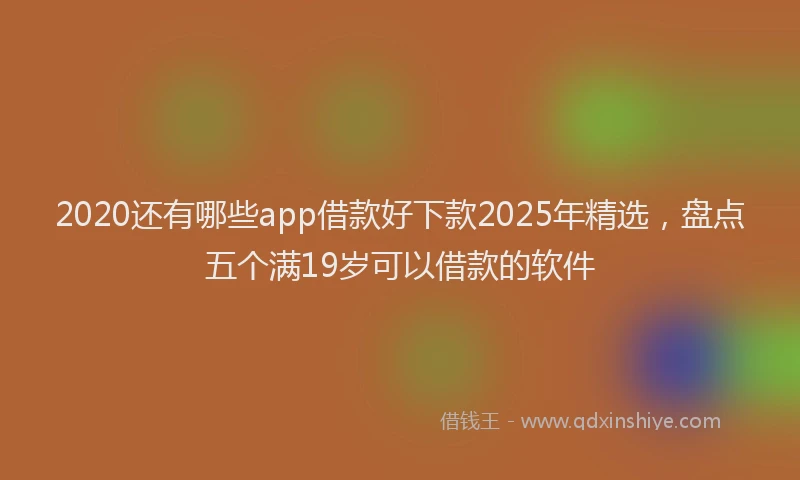 2020还有哪些app借款好下款2025年精选，盘点五个满19岁可以借款的软件