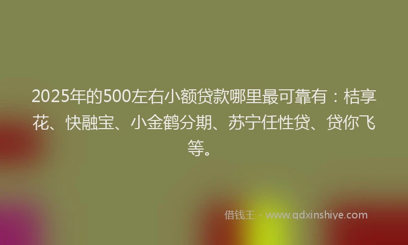 2025年的500左右小额贷款哪里最可靠有：桔享花、快融宝、小金鹤分期、苏宁任性贷、贷你飞等。