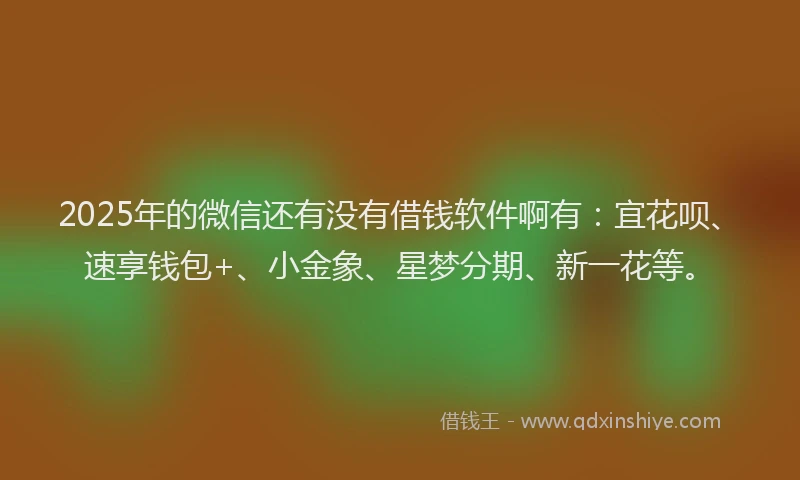 2025年的微信还有没有借钱软件啊有：宜花呗、速享钱包+、小金象、星梦分期、新一花等。