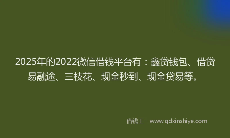 2025年的2022微信借钱平台有：鑫贷钱包、借贷易融途、三枝花、现金秒到、现金贷易等。