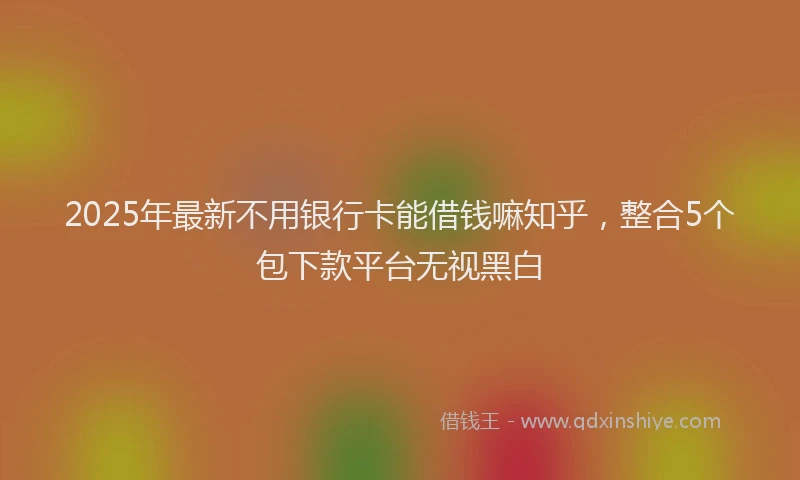 2025年最新不用银行卡能借钱嘛知乎，整合5个包下款平台无视黑白