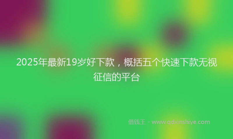 2025年最新19岁好下款，概括五个快速下款无视征信的平台