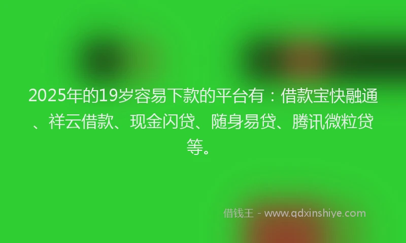 2025年的19岁容易下款的平台有：借款宝快融通、祥云借款、现金闪贷、随身易贷、腾讯微粒贷等。