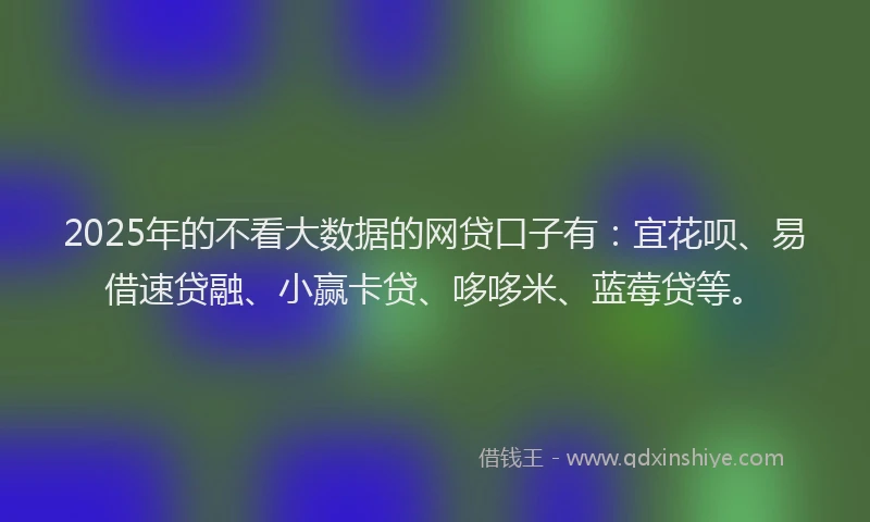 2025年的不看大数据的网贷口子有：宜花呗、易借速贷融、小赢卡贷、哆哆米、蓝莓贷等。