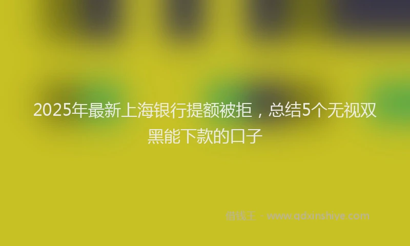 2025年最新上海银行提额被拒，总结5个无视双黑能下款的口子
