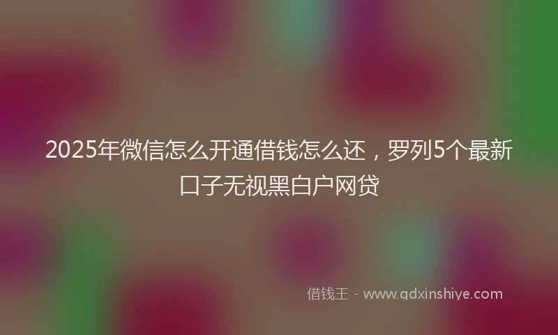 2025年微信怎么开通借钱怎么还，罗列5个最新口子无视黑白户网贷
