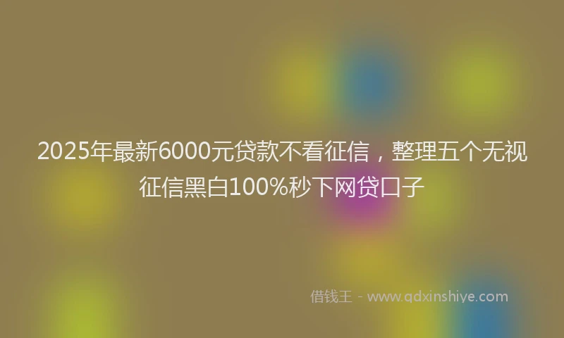 2025年最新6000元贷款不看征信，整理五个无视征信黑白100%秒下网贷口子