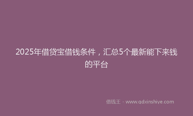 2025年借贷宝借钱条件，汇总5个最新能下来钱的平台