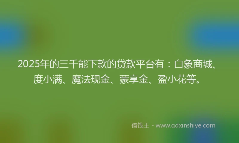 2025年的三千能下款的贷款平台有：白象商城、度小满、魔法现金、蒙享金、盈小花等。