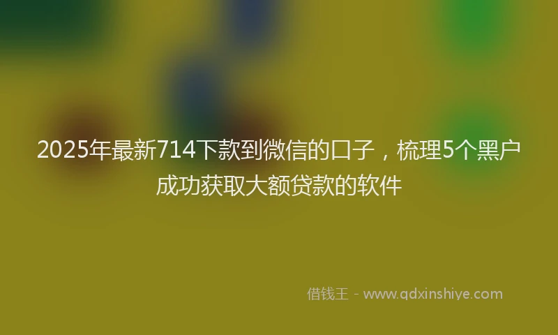 2025年最新714下款到微信的口子，梳理5个黑户成功获取大额贷款的软件