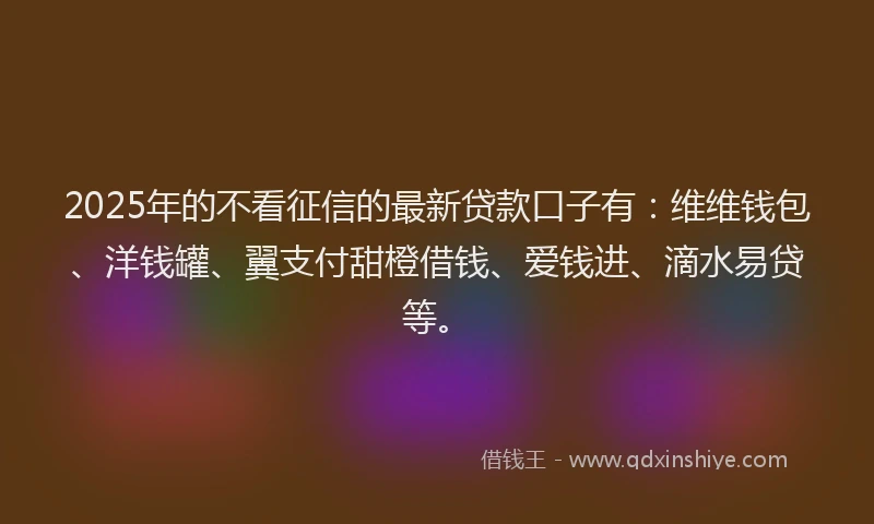 2025年的不看征信的最新贷款口子有：维维钱包、洋钱罐、翼支付甜橙借钱、爱钱进、滴水易贷等。