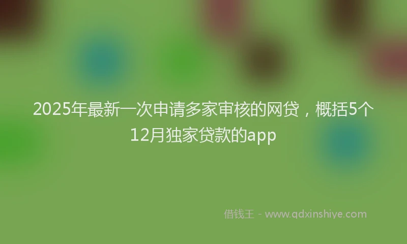 2025年最新一次申请多家审核的网贷，概括5个12月独家贷款的app