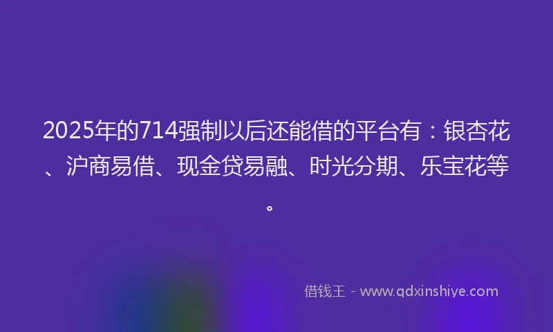 2025年的714强制以后还能借的平台有：银杏花、沪商易借、现金贷易融、时光分期、乐宝花等。