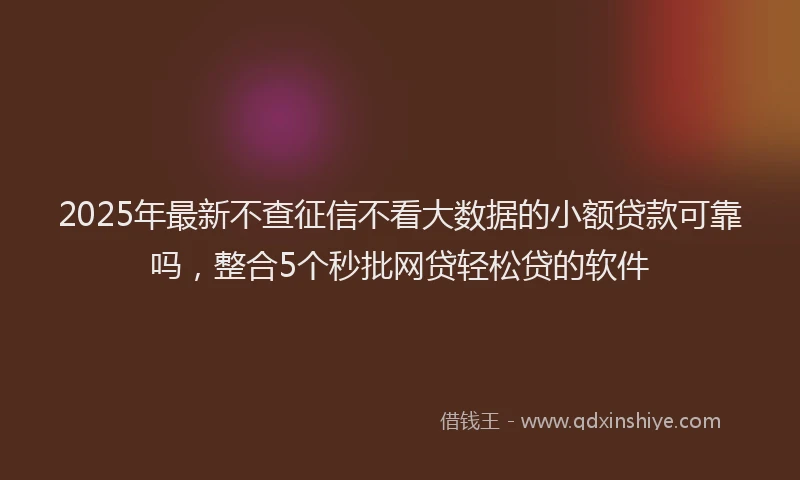 2025年最新不查征信不看大数据的小额贷款可靠吗，整合5个秒批网贷轻松贷的软件