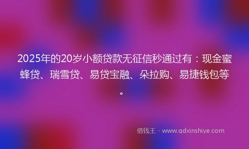 2025年的20岁小额贷款无征信秒通过有：现金蜜蜂贷、瑞雪贷、易贷宝融、朵拉购、易捷钱包等。