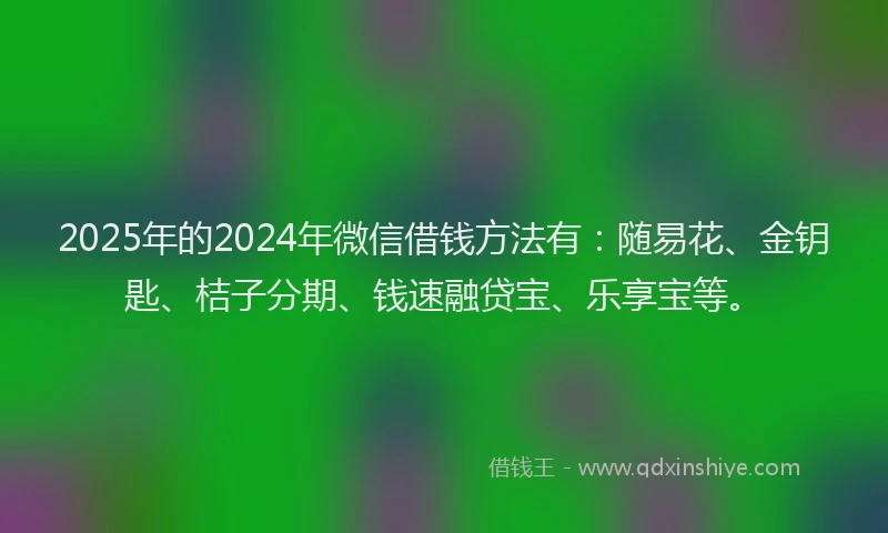 2025年的2024年微信借钱方法有：随易花、金钥匙、桔子分期、钱速融贷宝、乐享宝等。