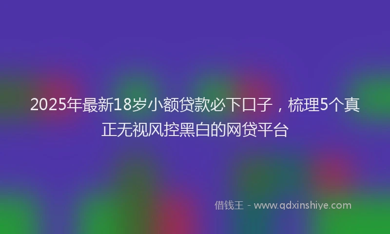 2025年最新18岁小额贷款必下口子，梳理5个真正无视风控黑白的网贷平台