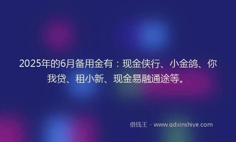 2025年的6月备用金有：现金侠行、小金鸽、你我贷、租小新、现金易融通途等。