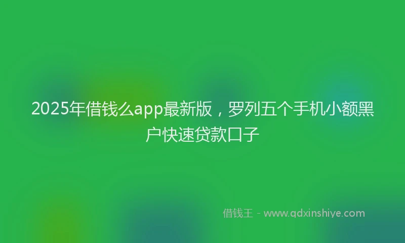 2025年借钱么app最新版，罗列五个手机小额黑户快速贷款口子